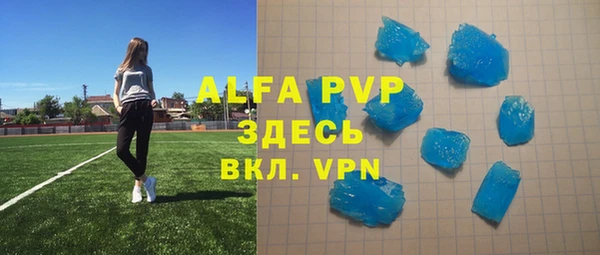 молекула духа Ельня