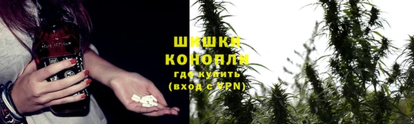 молекула духа Ельня