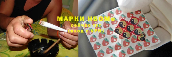 молекула духа Ельня