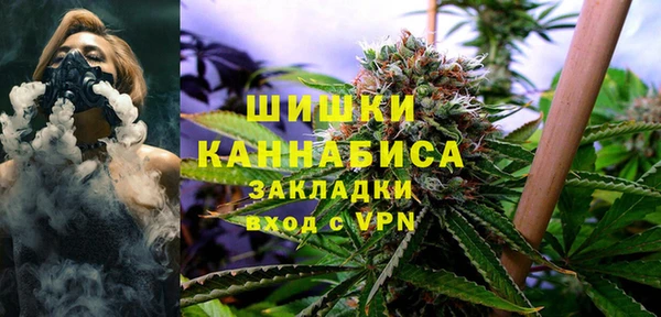 молекула духа Ельня