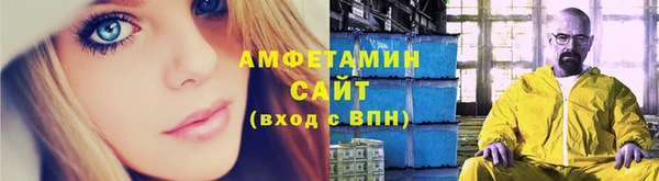 молекула духа Ельня