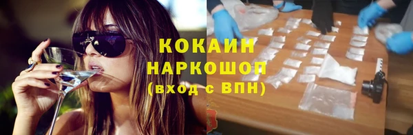 молекула духа Ельня