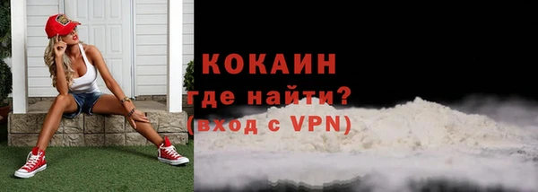 молекула духа Ельня