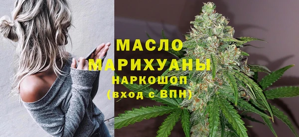 молекула духа Ельня