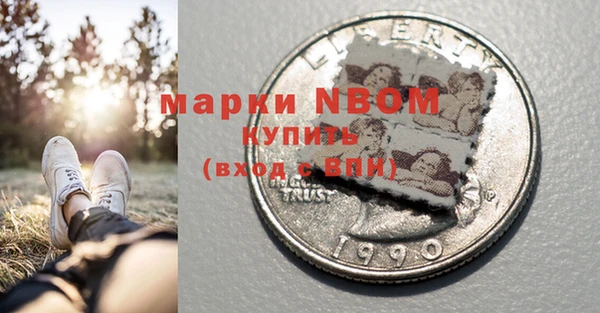 молекула духа Ельня