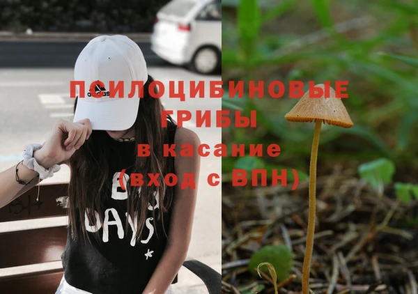 2c-b Елизово