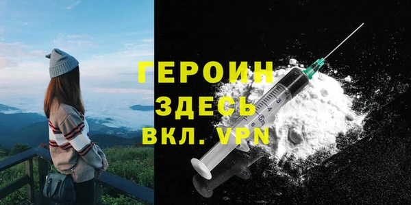 молекула духа Ельня
