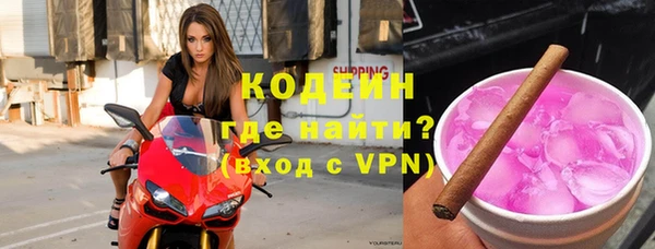 молекула духа Ельня