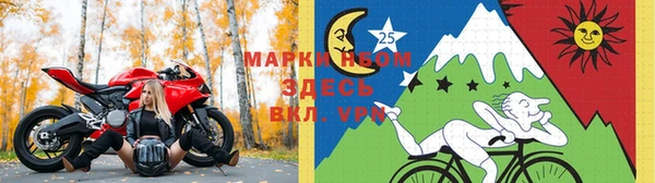 молекула духа Ельня