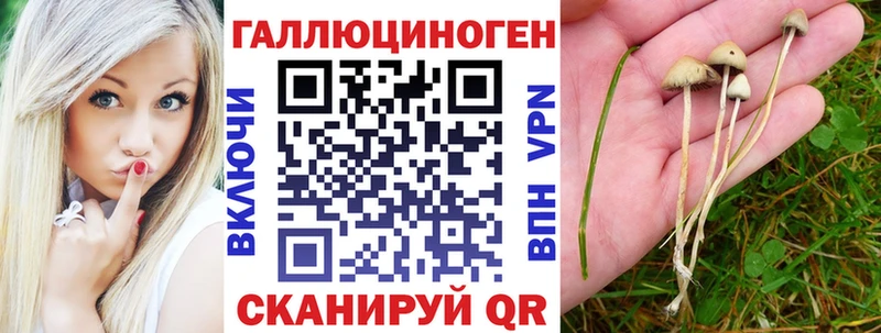 Купить  Заречный  Галлюциногенные грибы Magic Shrooms 